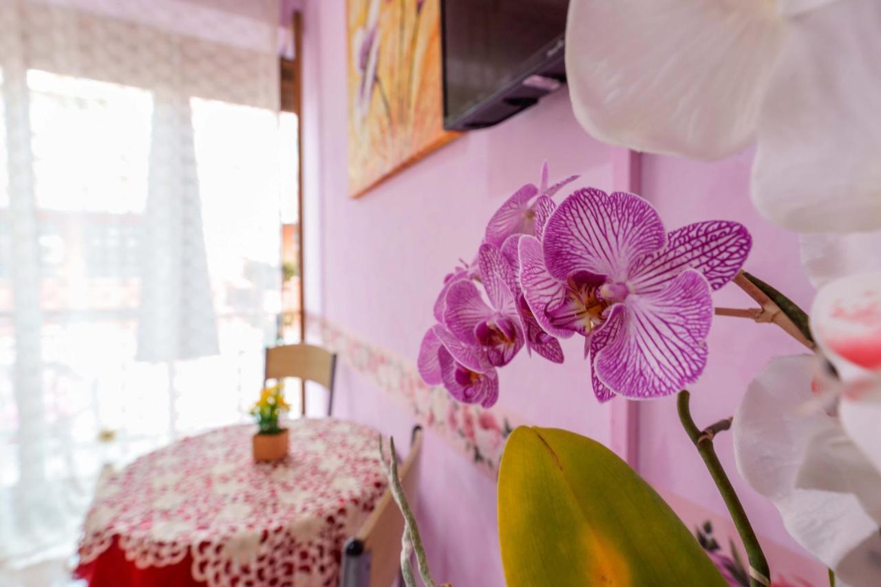 Bed And Breakfast Dolce Vita Boloňa Exteriér fotografie